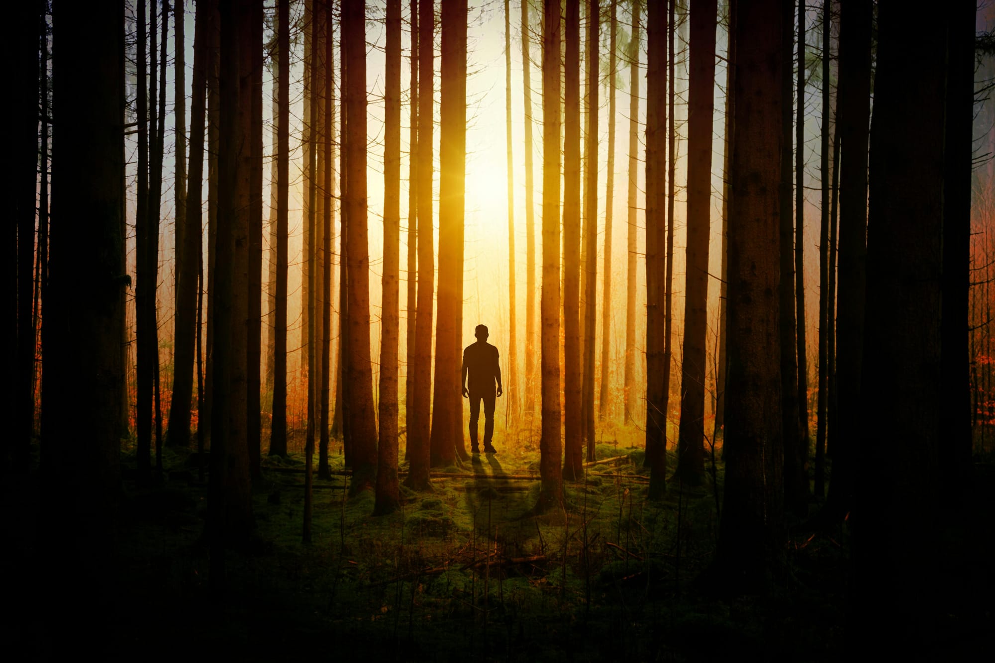 What if Trauma Isn't the Enemy
