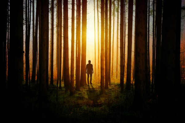 What if Trauma Isn't the Enemy